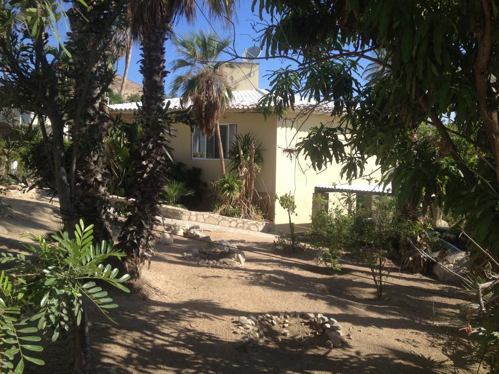 Surfer'S Paradise, Yoga&Food Garden@Costa Azul, Los Cabos San José del Cabo Esterno foto